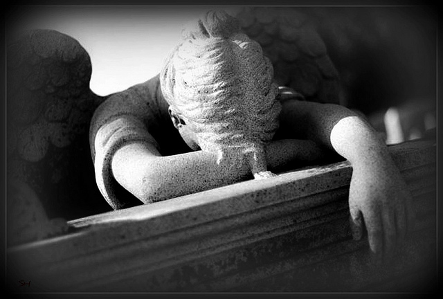 Weeping Angel