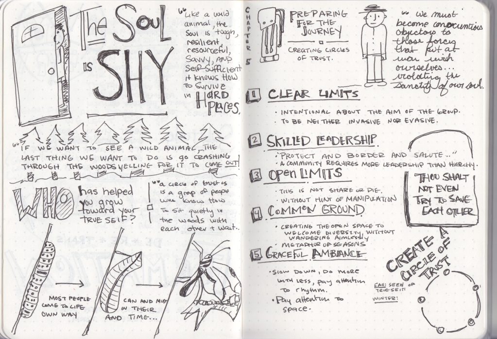 Sketchntoes for Chapter 5 - A hidden Wholeness