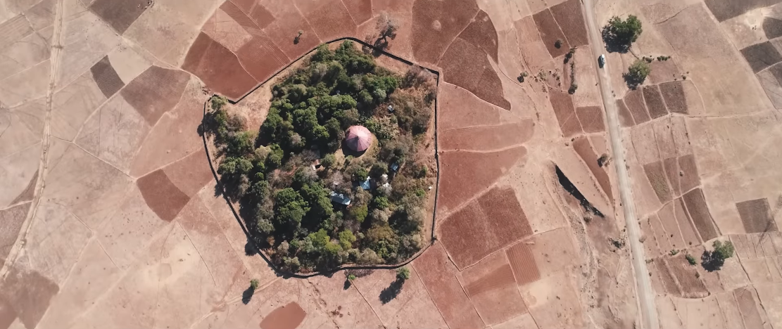 Thieves, Bandits, Good Shepherds, and Church Forests