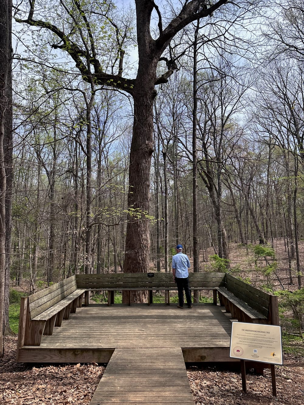 Who Gave Us Guilford College?